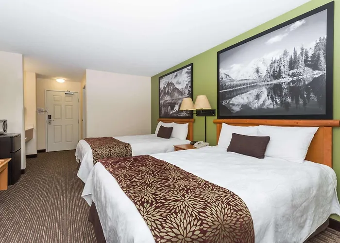 Super 8 By Wyndham Wyoming Hotel 2*